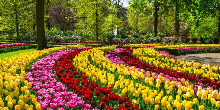 Brusel, Amsterdam, Zaanse Schans a park Keukenhof