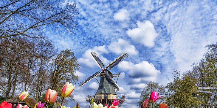 Amsterdam, výstava kvetov Keukenhof a Bruggy