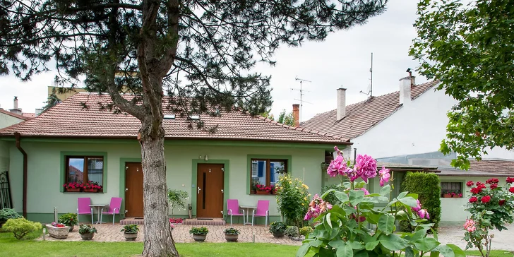 Pobyt v Piešťanoch s možnosťou privátneho wellness