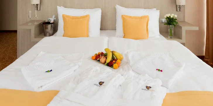 Romantický alebo biznis pobyt v Košice Hotel****