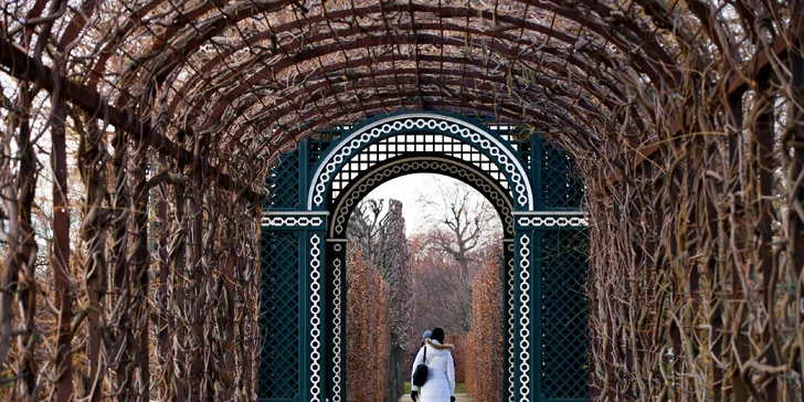 Spoznajte vianočnú Viedeň a zámok Schönbrunn!