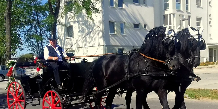 Jazda konským záprahom po Pezinku či okolo Panholca