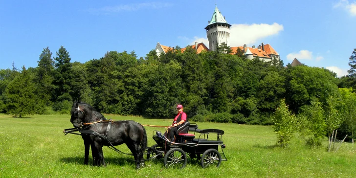 Jazda konským záprahom po Pezinku či okolo Panholca