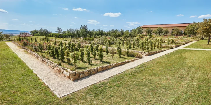 Pobyt v "Najromantickejšom historickom hoteli Európy" roku 2018: Kaštieľ Château Béla