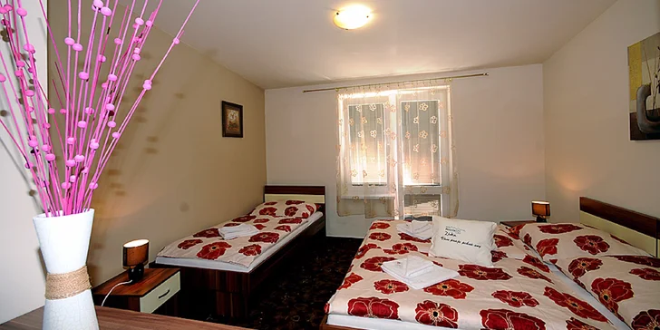Dovolenka na Liptove v rodinnom penzióne Zivka s neobmedzeným wellness
