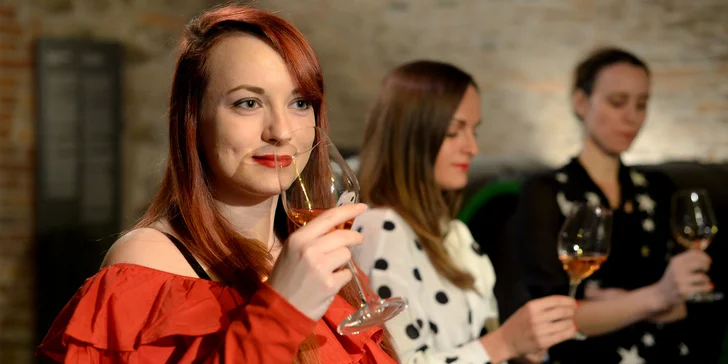 Degustácia pre znalcov vína v Národnom salóne vín