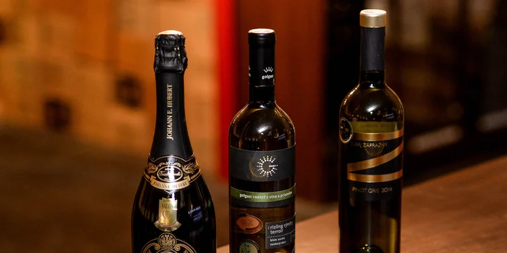 Degustácia pre znalcov vína v Národnom salóne vín