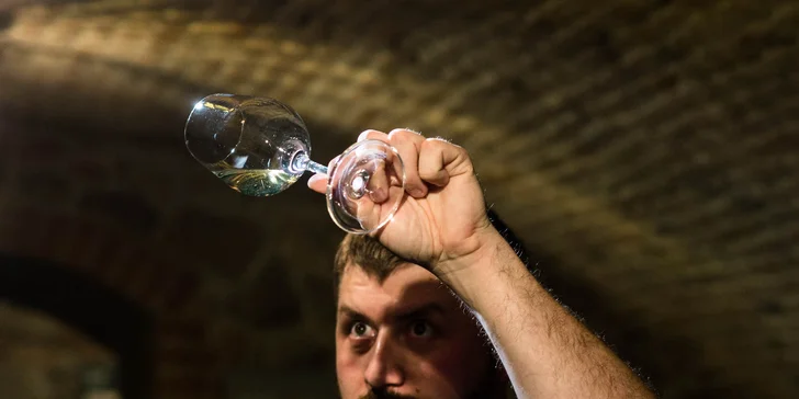 Degustácia pre znalcov vína v Národnom salóne vín