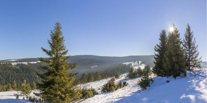 Rodinný pobyt so skipasmi v horskom prostredí Oravy v Hoteli Brezovica**s vlastným svahom