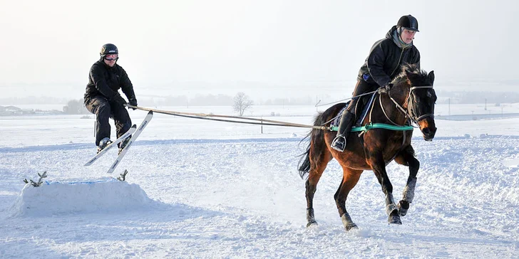 Zážitky z konského sedla! Zimný skijoring, prechádzky či poníky pre deti