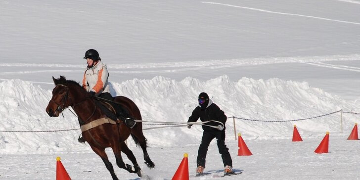 Zážitky z konského sedla! Zimný skijoring, prechádzky či poníky pre deti