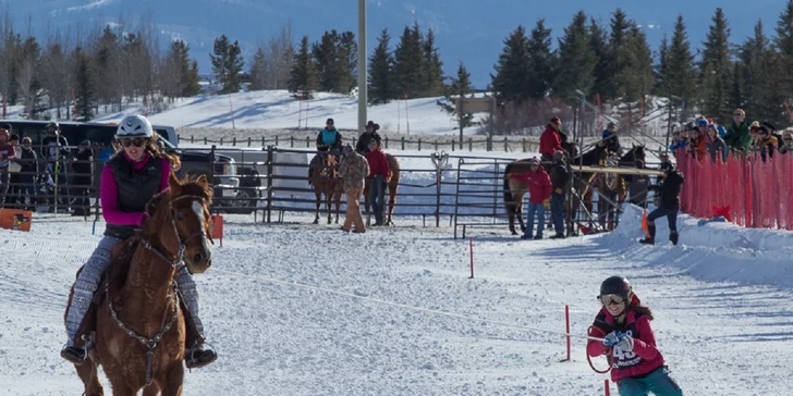 Zážitky z konského sedla! Zimný skijoring, prechádzky či poníky pre deti
