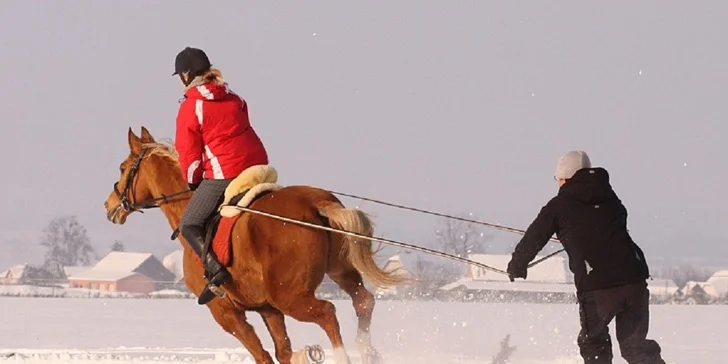 Zážitky z konského sedla! Zimný skijoring, prechádzky či poníky pre deti