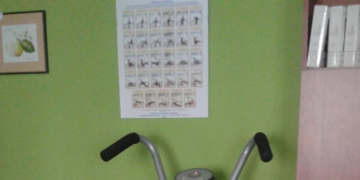 Cvičenie na rekondičných stoloch, rolletic a vibračná plošina. Možnosť výhodných permanentiek!