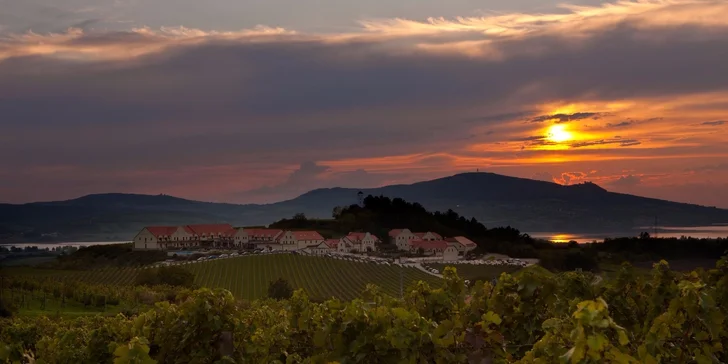 Počas troch víkendov vinárom: práca na vinici aj relax vo wellness pre dvoch