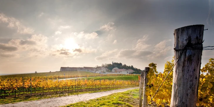 Počas troch víkendov vinárom: práca na vinici aj relax vo wellness pre dvoch