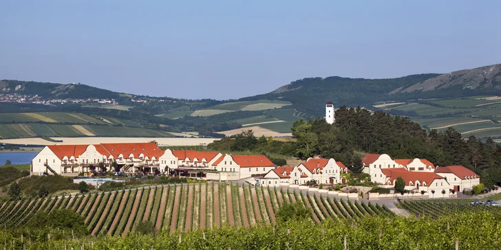 Počas troch víkendov vinárom: práca na vinici aj relax vo wellness pre dvoch