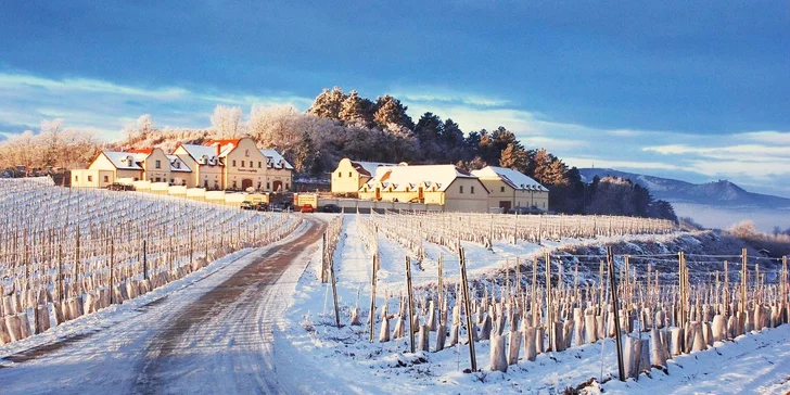 Počas troch víkendov vinárom: práca na vinici aj relax vo wellness pre dvoch