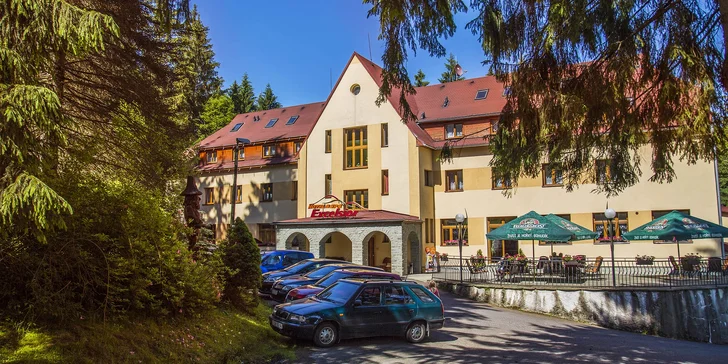 Relaxácia v Beskydách: polpenzia, neobmedzené wellness, pivný či vínny kúpeľ