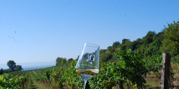 Víkend na Slovácku: výučba strihania vinohradu, famózne víno aj wellness pre dvoch
