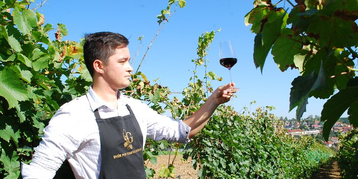 Víkend na Slovácku: výučba strihania vinohradu, famózne víno aj wellness pre dvoch