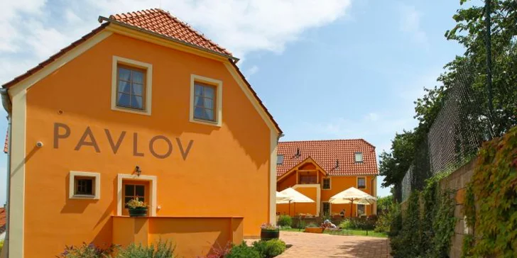 Príjemný vinársky pobyt na južnej Morave v Hoteli Pavlov