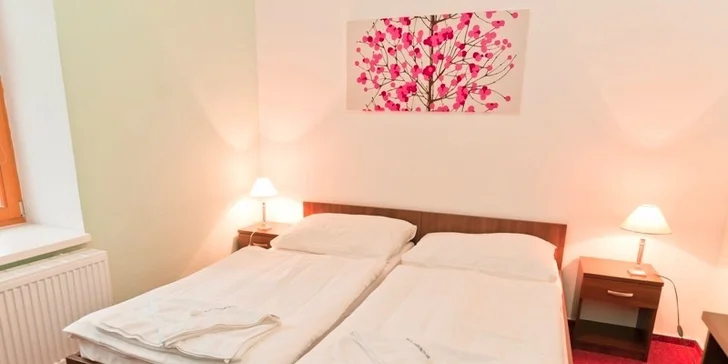 Oddychový pobyt v Ledniciach s bohatými raňajkami a degustáciou vín