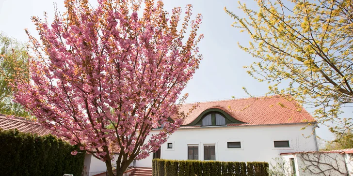 Relaxačný wellness pobyt v malebnej oblasti Neziderského jazera