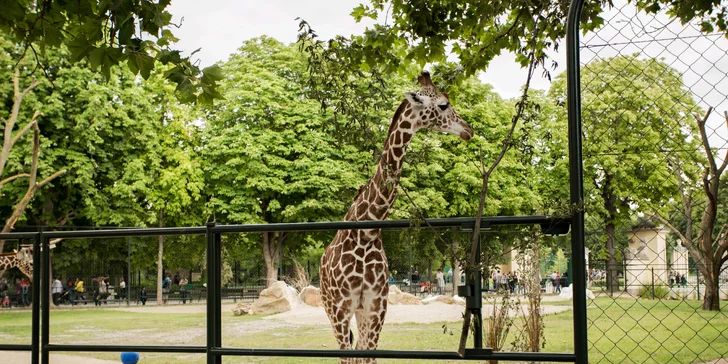 Zámok Schönbrunn a najstaršia ZOO v Európe
