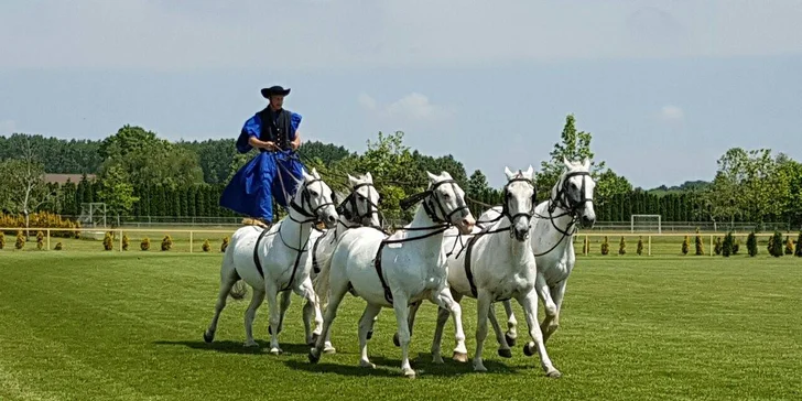 Jarný víkendový tábor pre deti v maďarskom Kincsemlovaspark