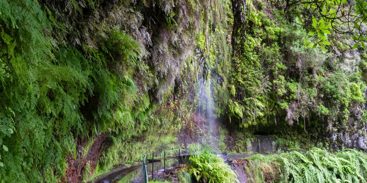Oddych na ostrove Madeira a ostrovoch Desertas