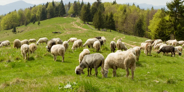 Turistická alebo lyžiarska dovolenka v Beskydách - 3 alebo 4 dni s polpenziou