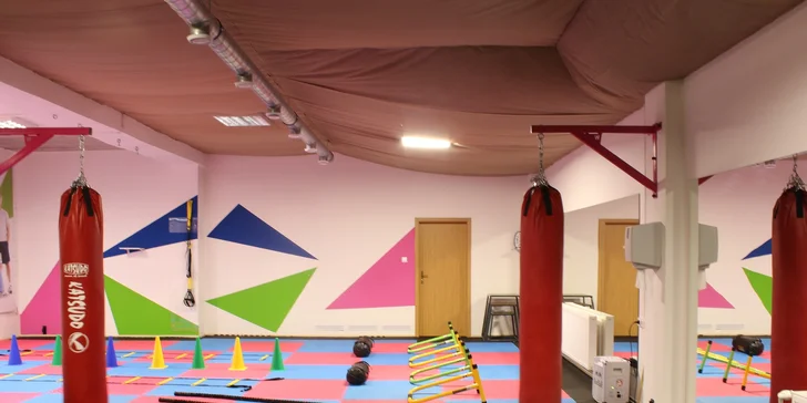 Individuálny osobný tréning so vstupom do fitness centra SLYOfit