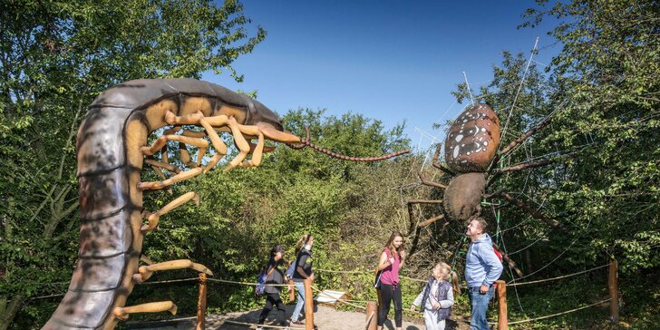 Celodenný vstup do Fajnparku: zábavného areálu s atrakciami pre celú rodinu