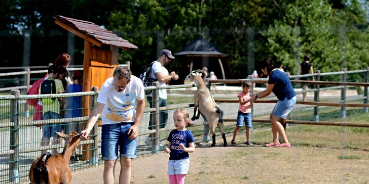 Celodenný vstup do Fajnparku: zábavného areálu s atrakciami pre celú rodinu