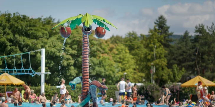 Jedinečný pobyt vo Wellness hoteli Thermal*** Vadaš v Štúrove