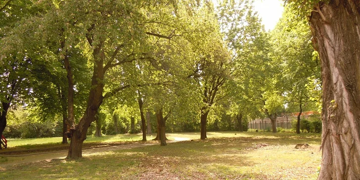 Denný tábor KIDSCAMP BRATISLAVA – NOVÉ MESTO