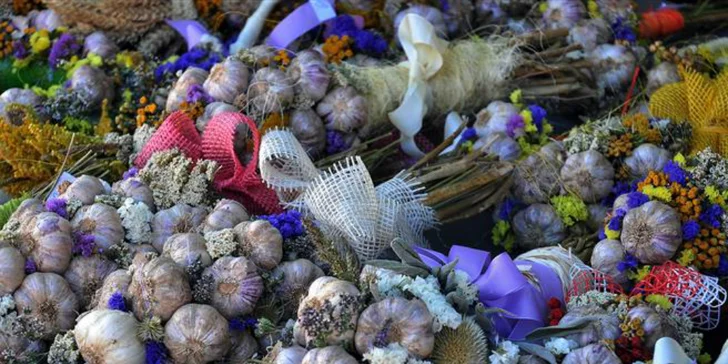 Cesnakový festival na zámku v Buchloviciach