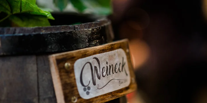 Ochutnávka vín vo vinotéke Weineck