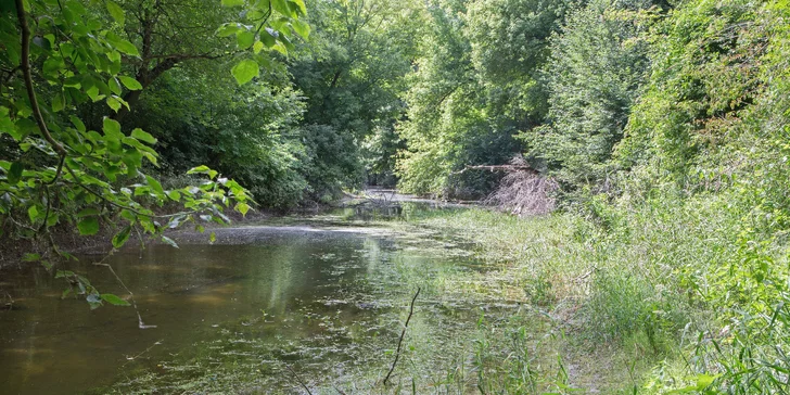 Národný park Donau Auen, zámok Orth a nákupy v Primarku