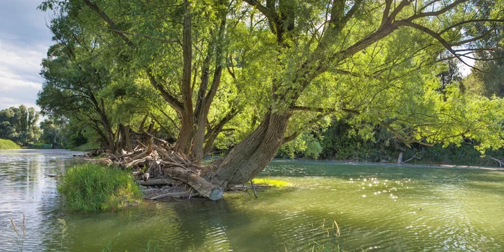 Národný park Donau Auen, zámok Orth a nákupy v Primarku