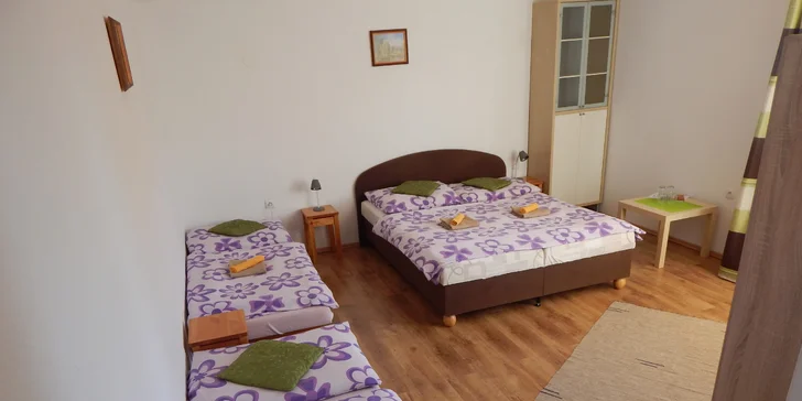 Pobyt v srdci Vysokých Tatier v Penzióne Alex, Nová Lesná