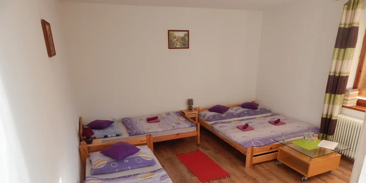 Pobyt v srdci Vysokých Tatier v Penzióne Alex, Nová Lesná
