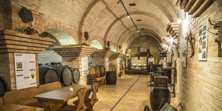 Jar medzi vinicami: relax na Slovácku s polpenziou, wellness a miestnym vínom