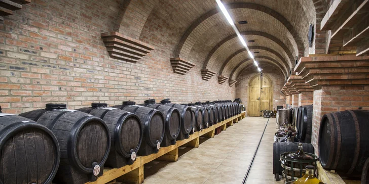 Jar medzi vinicami: relax na Slovácku s polpenziou, wellness a miestnym vínom