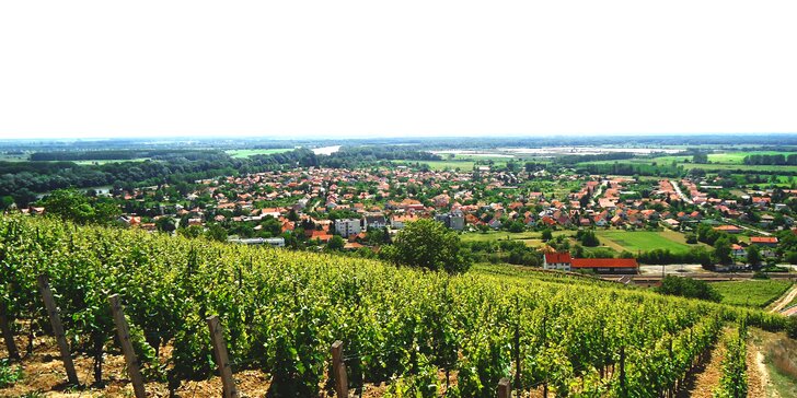 Trojhviezdičkový komfort a relax medzi maďarskými vinohradmi v Tokaji!