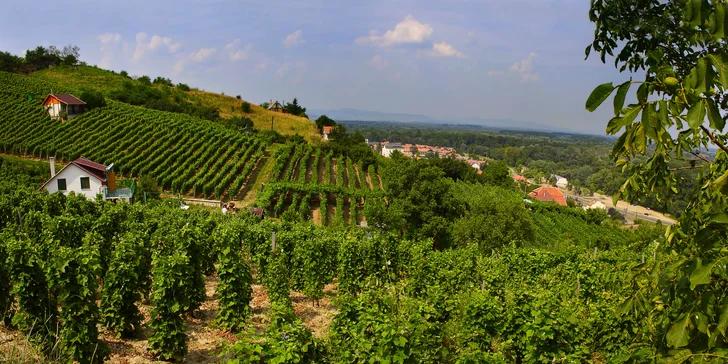 Trojhviezdičkový komfort a relax medzi maďarskými vinohradmi v Tokaji!
