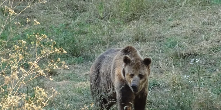 Májový poznávací zájazd do Bulharska - 3 noci v 4* hoteli s polpenziou