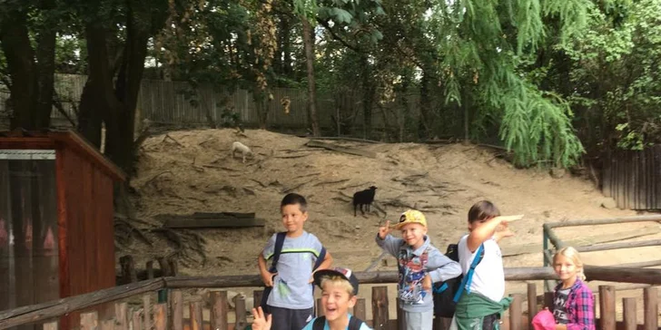 Denný detský športový tábor Happy Monkey v rakúskom Kittsee