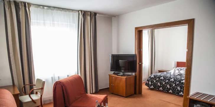 Wellness Hotel Synot***